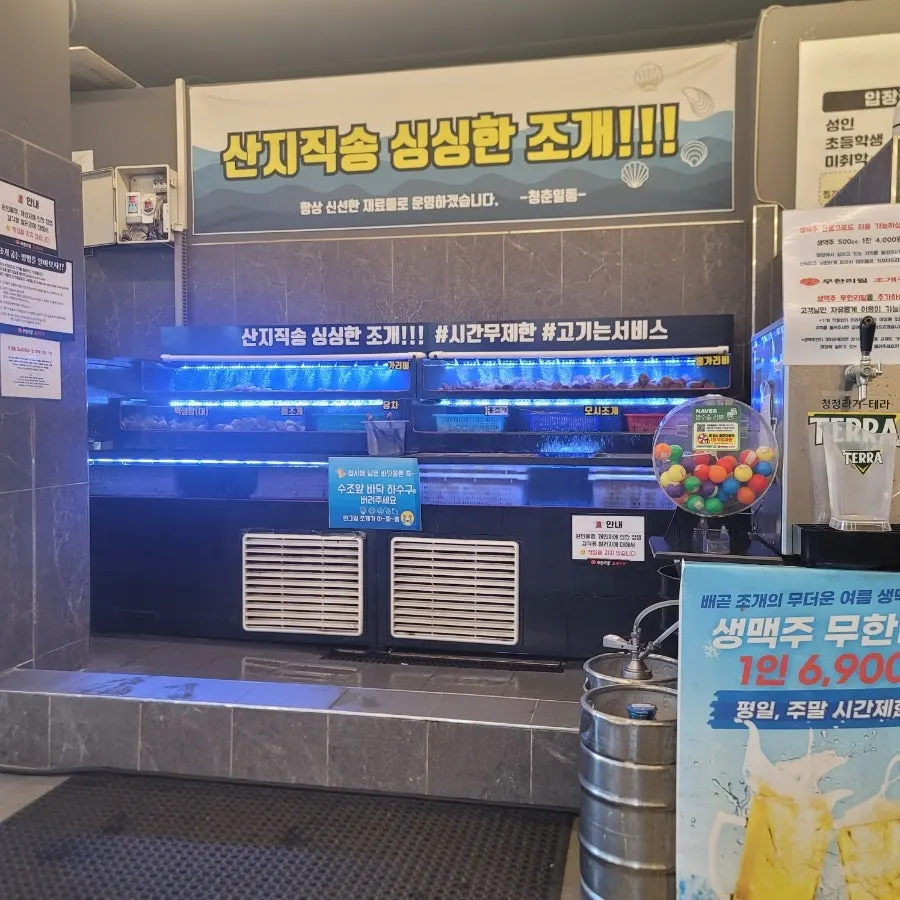 조개 코너에 진열된 조개 종류
