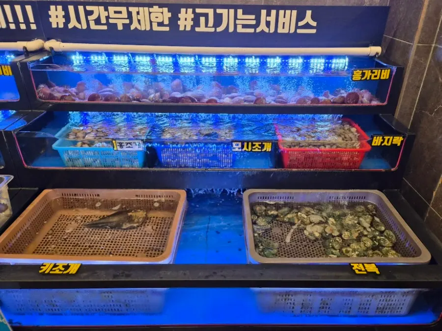 Tank full of shellfish inside the restaurant