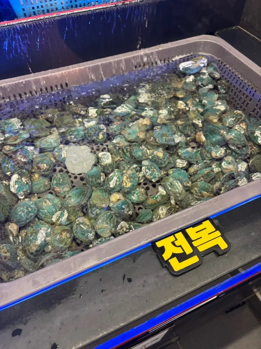 贝类无限畅吃自助区陈列