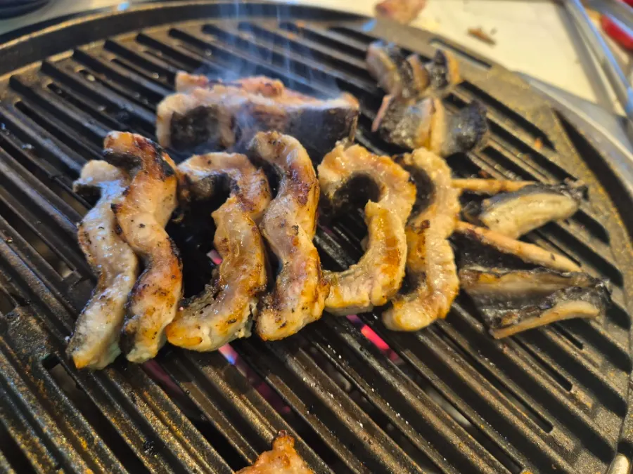 Eel unfolded from its folded-in-half state