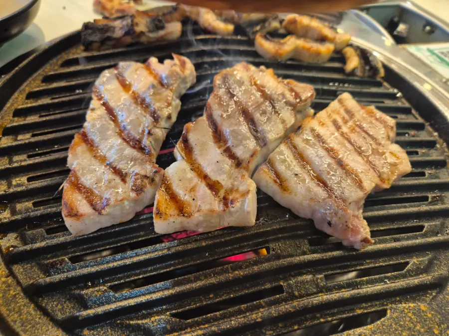 A single piece of grilled eel