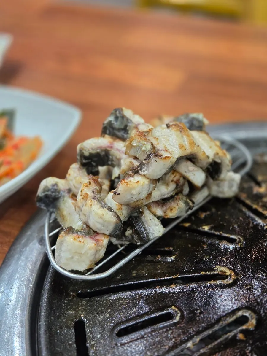 Freshwater eel grilling on the pan