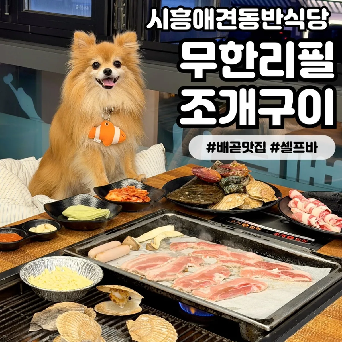 무한리필 조개구이 시흥배곧점 대표 사진