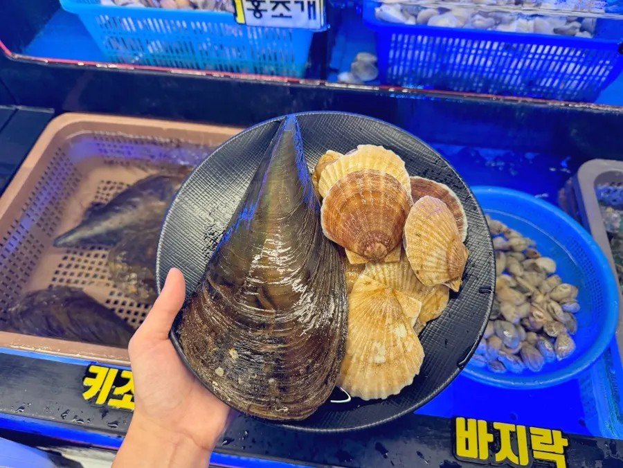 셀프바 수조에 담긴 여러 종류의 조개