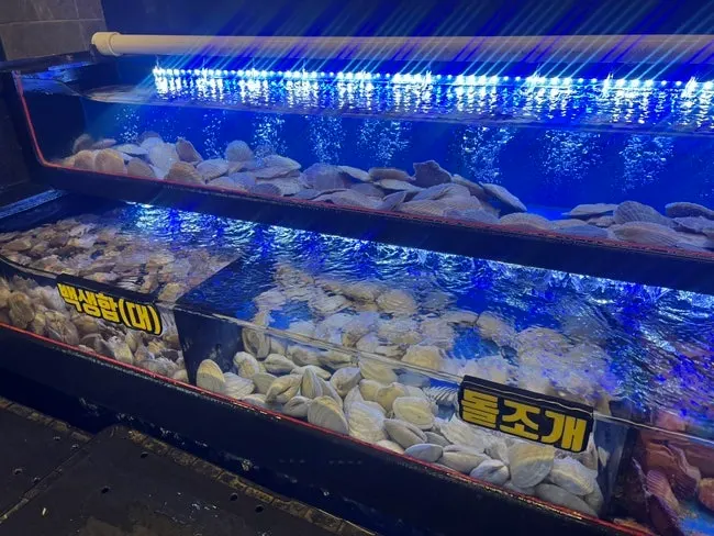 조개를 직접 고르는 수조