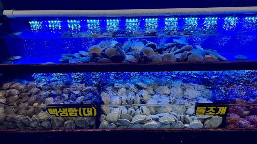 Unlimited refill shellfish selection