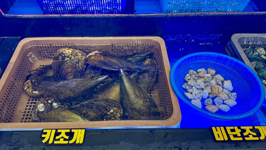 Fresh shellfish tank selection