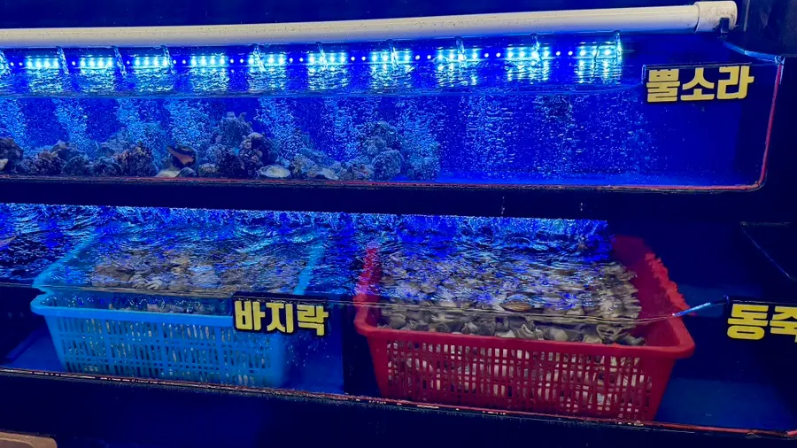 Abalone and red scallop selection