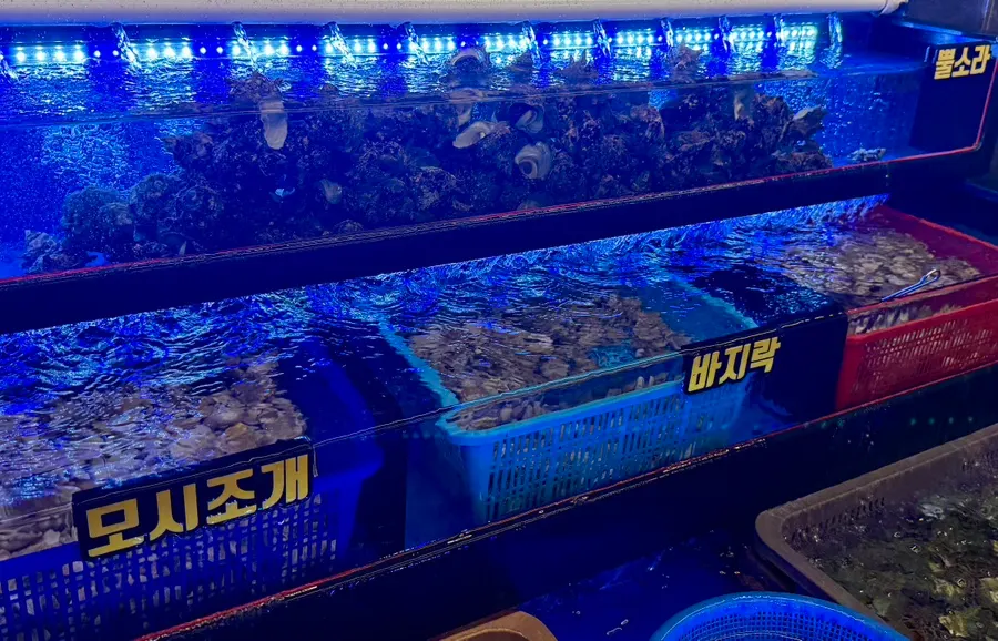 Varied unlimited refill shellfish lineup