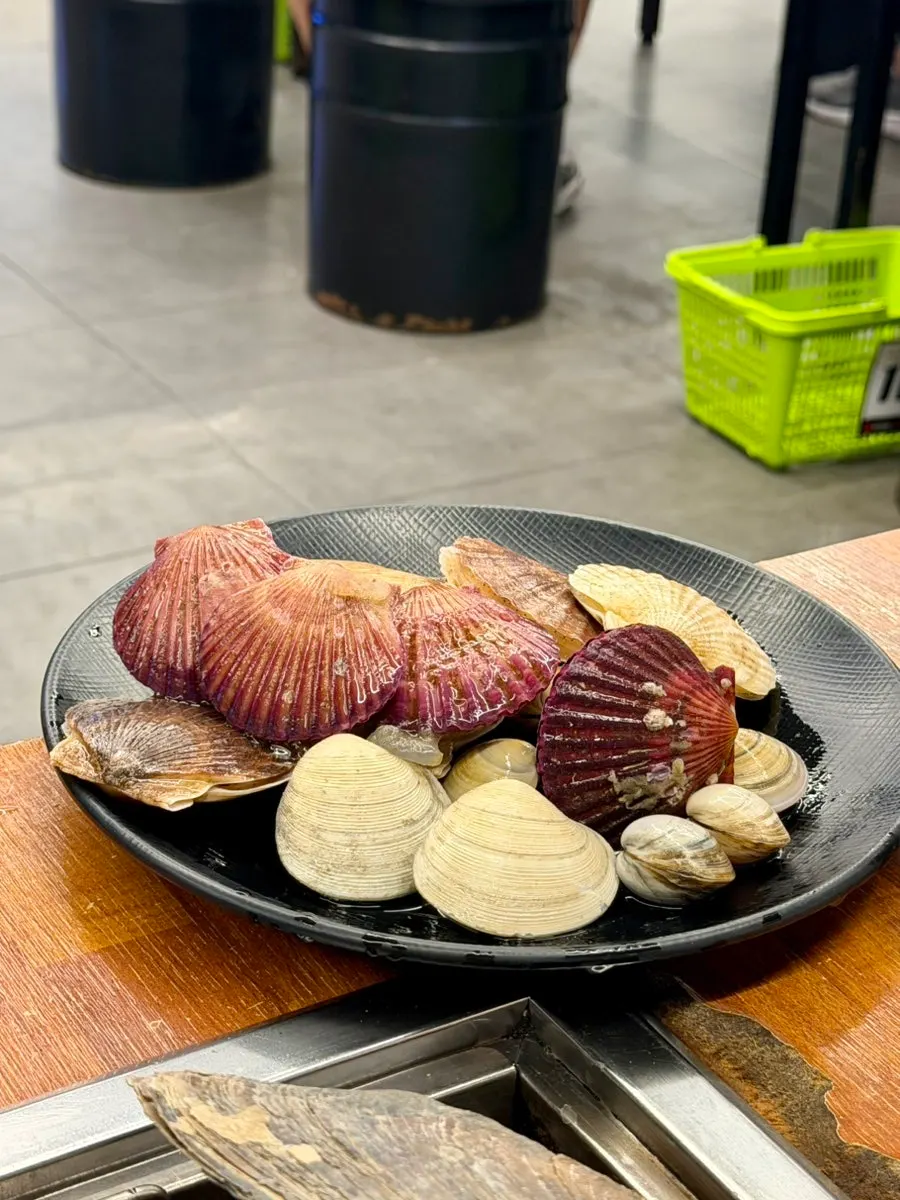 Plato de almejas vivas expulsando agua