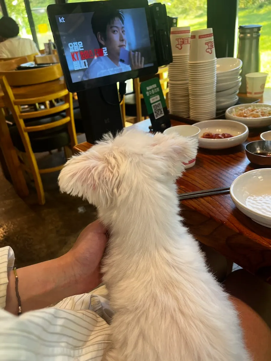 오이 없이 요청한 비빔국수