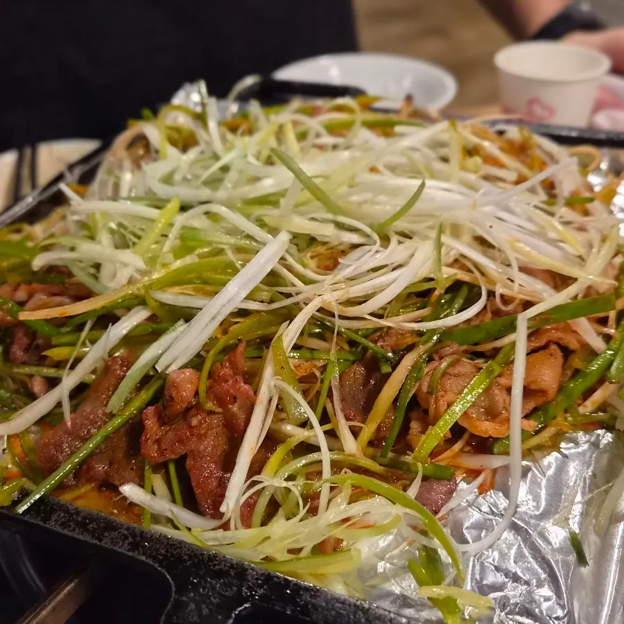 Bulgogi wrap with shredded scallions