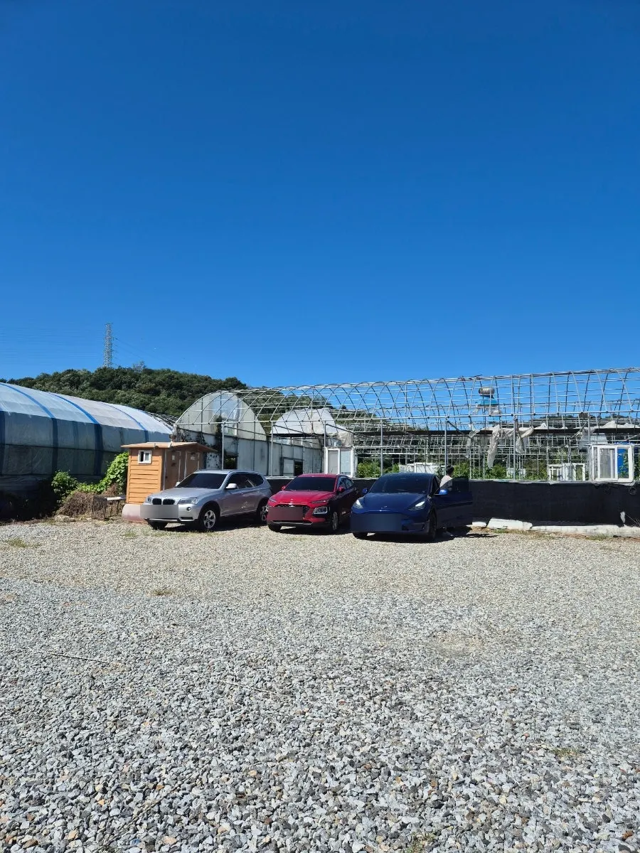 Standalone restaurant building with a large parking lot
