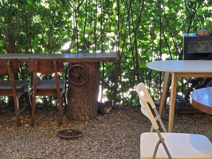 First floor interior of Flowerpot Cafe with green plants