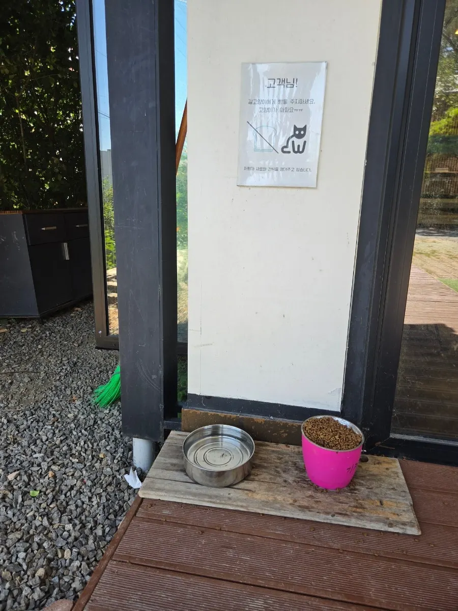 Café interior seen from the window with green scenery outside