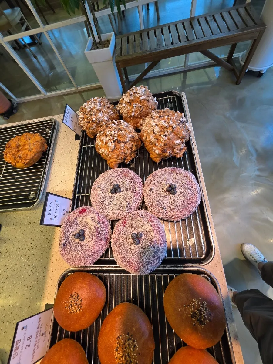 Bakery display case filled with various desserts