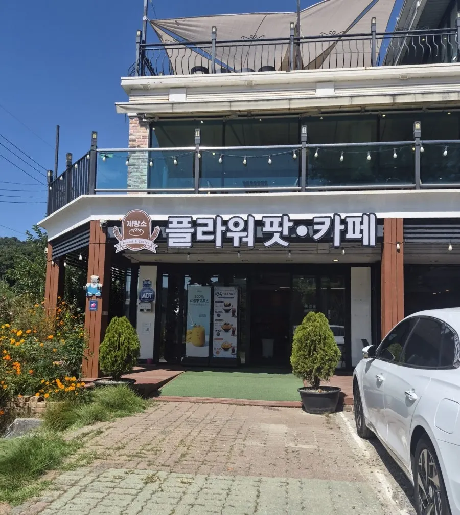 초록 식물이 놓인 카페 1층 내부