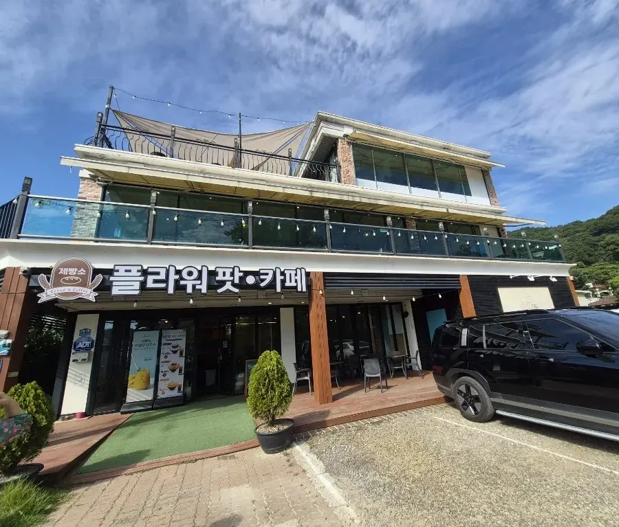 우드 인테리어와 식물이 어우러진 카페 좌석