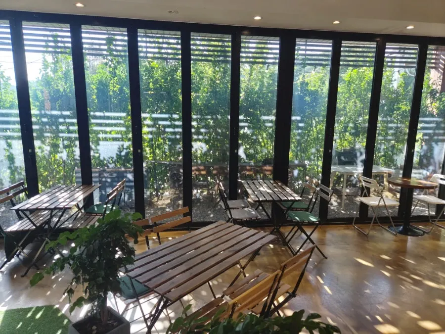 View of the area around the Flowerpot Cafe entrance