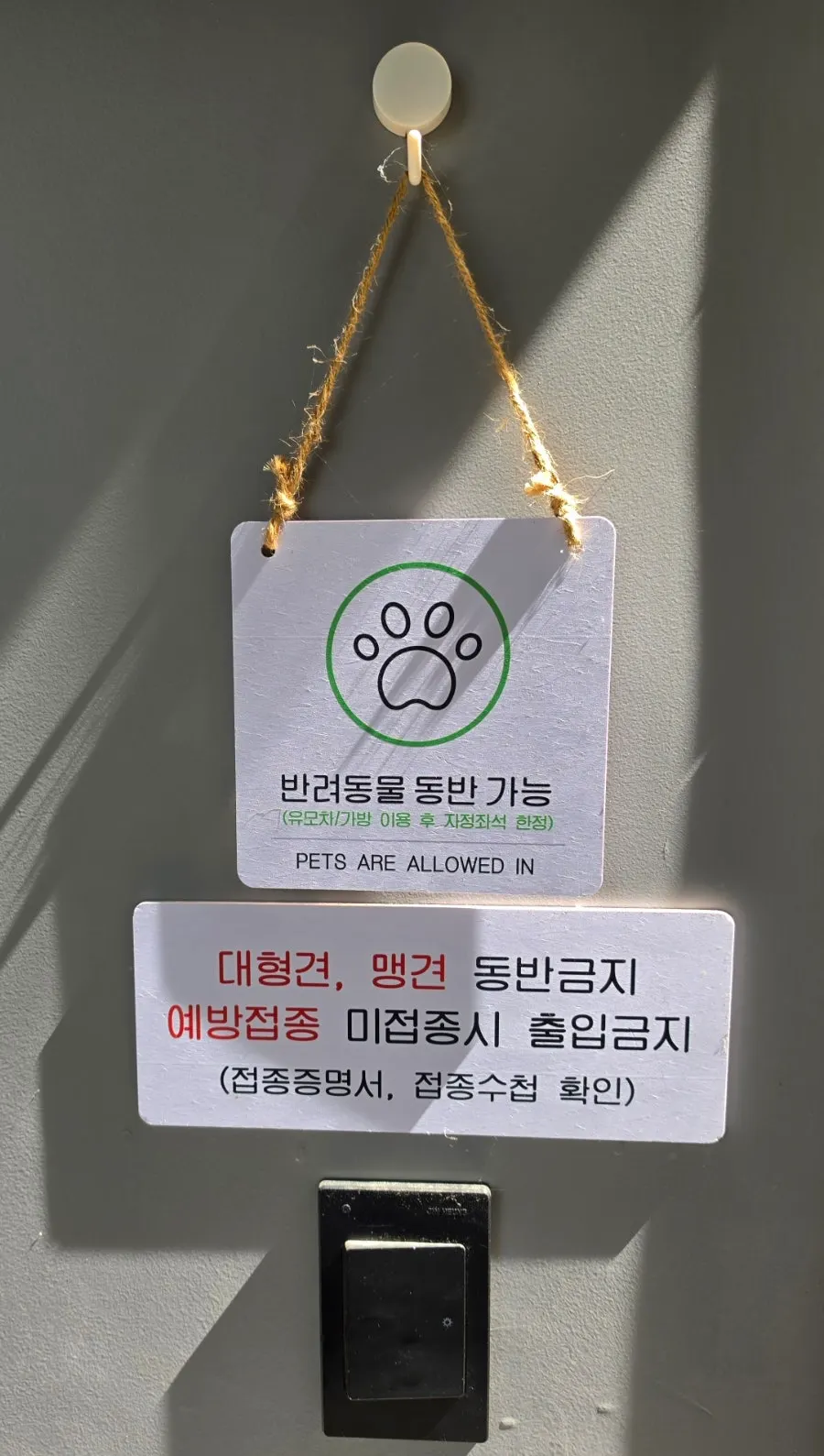입구 첫 테이블과 나란히 놓인 화분 세 개