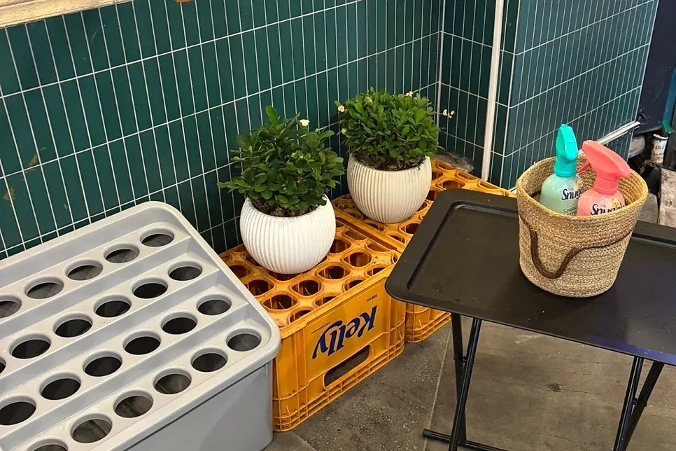 Umbrella stand and deodorizer at the entrance