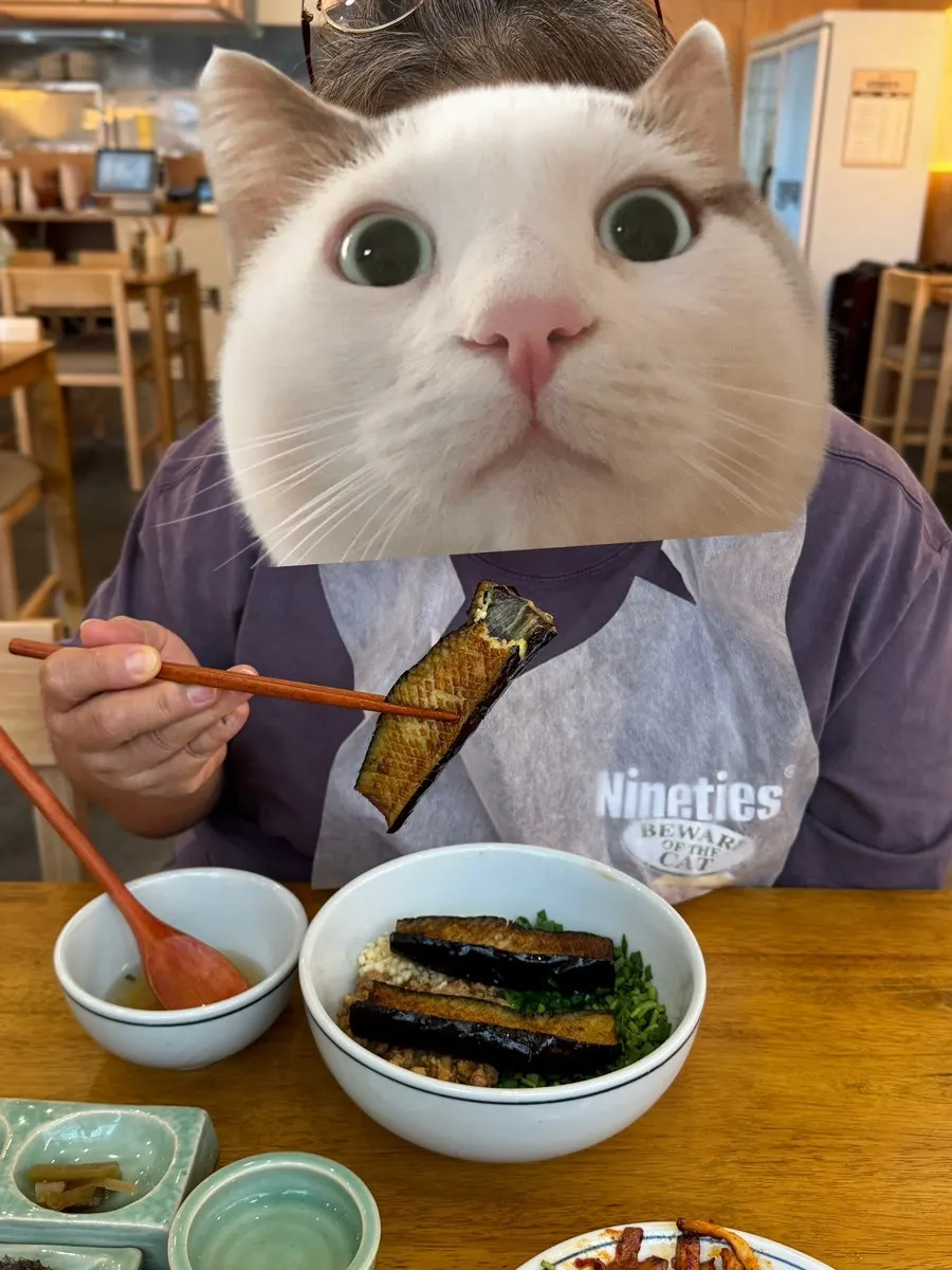 A spoonful of eggplant doenjang rice bowl mixed with rice