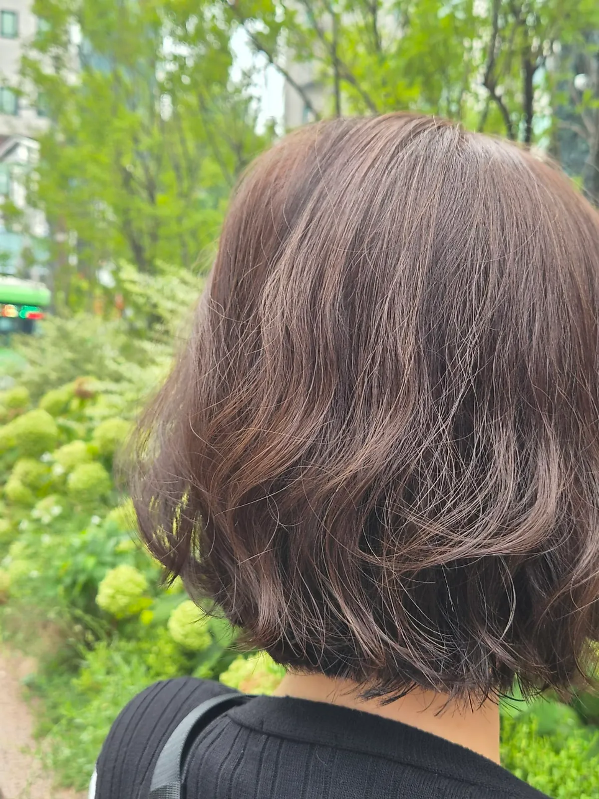 Finished level 6 gray coverage dye in brown