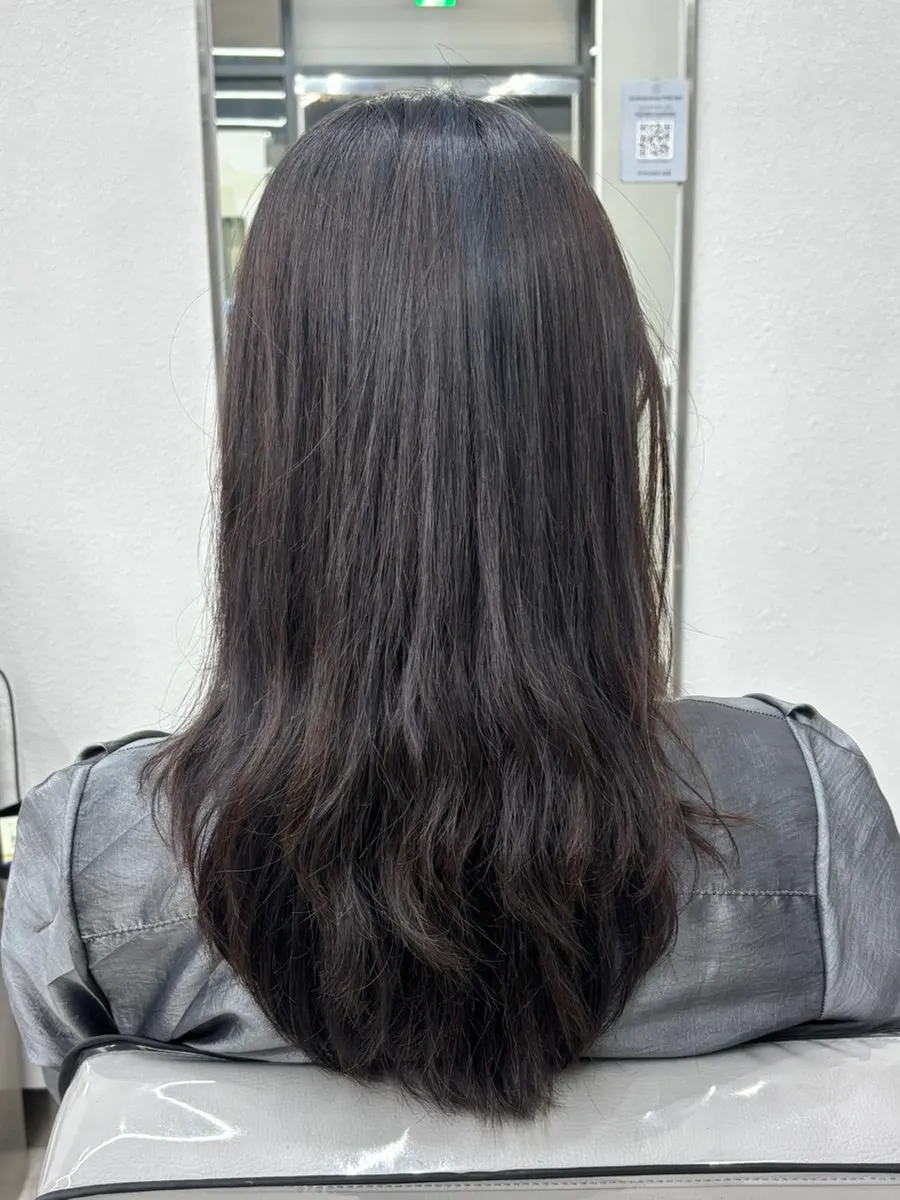 Dry hair condition before the clinic treatment