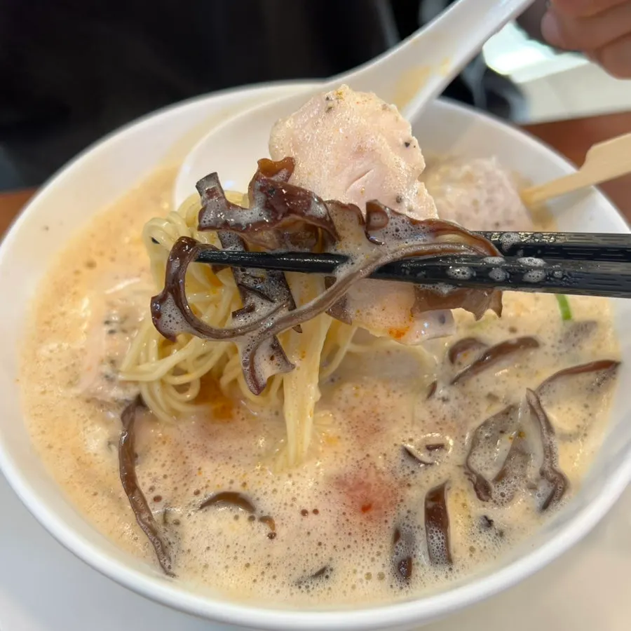 카라빠이탄 면과 토핑 클로즈업