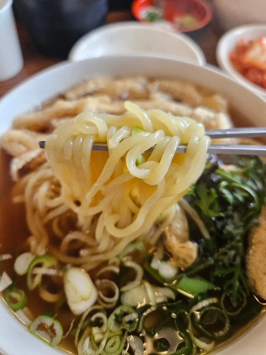 Gakgi Udon with thin udon noodles