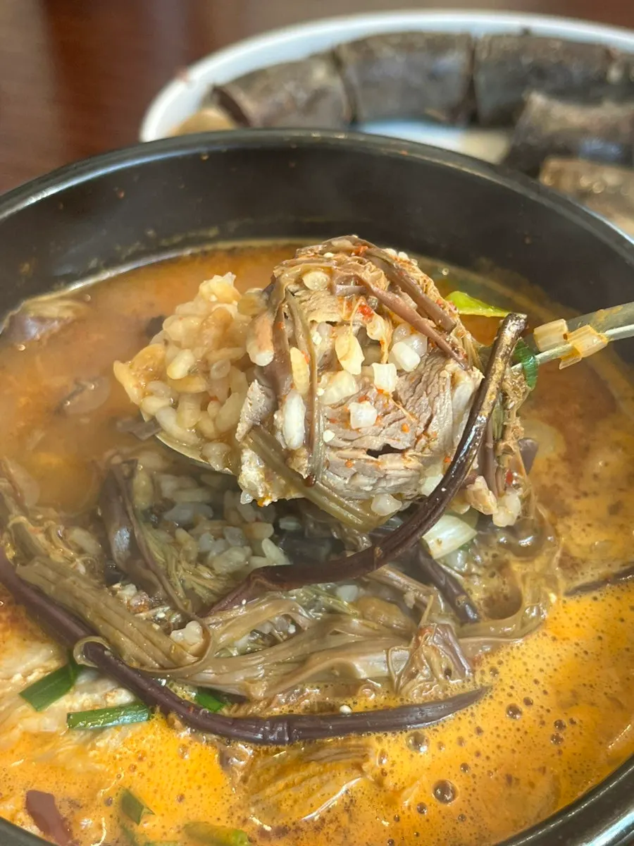 Spicy gukbap interior showing bracken and meat