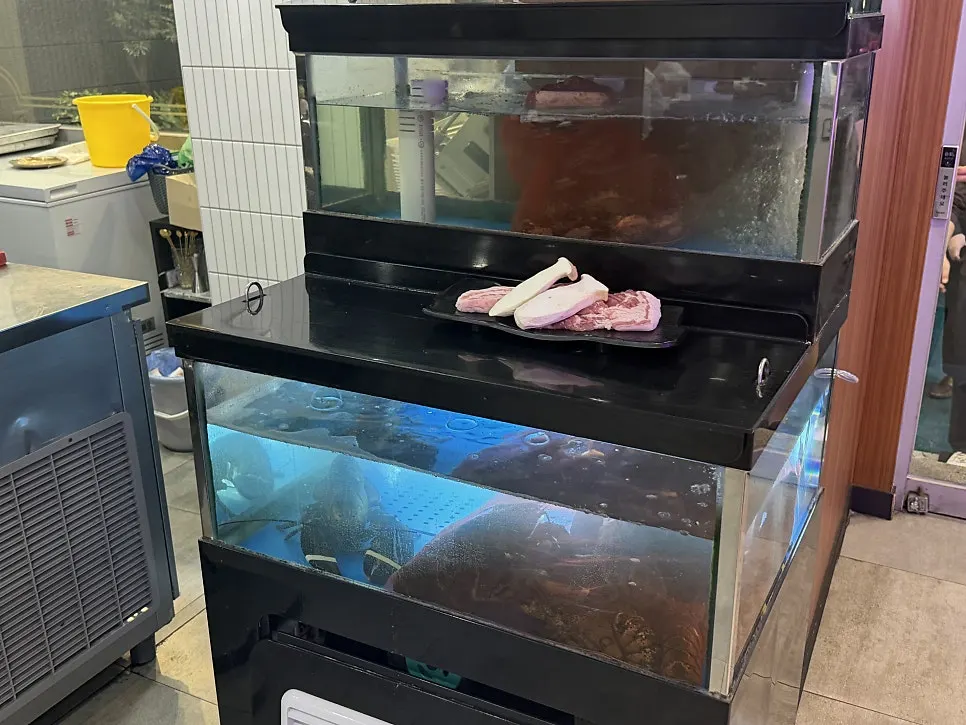 Butcher fridge displaying hanwoo and Jeju black pork