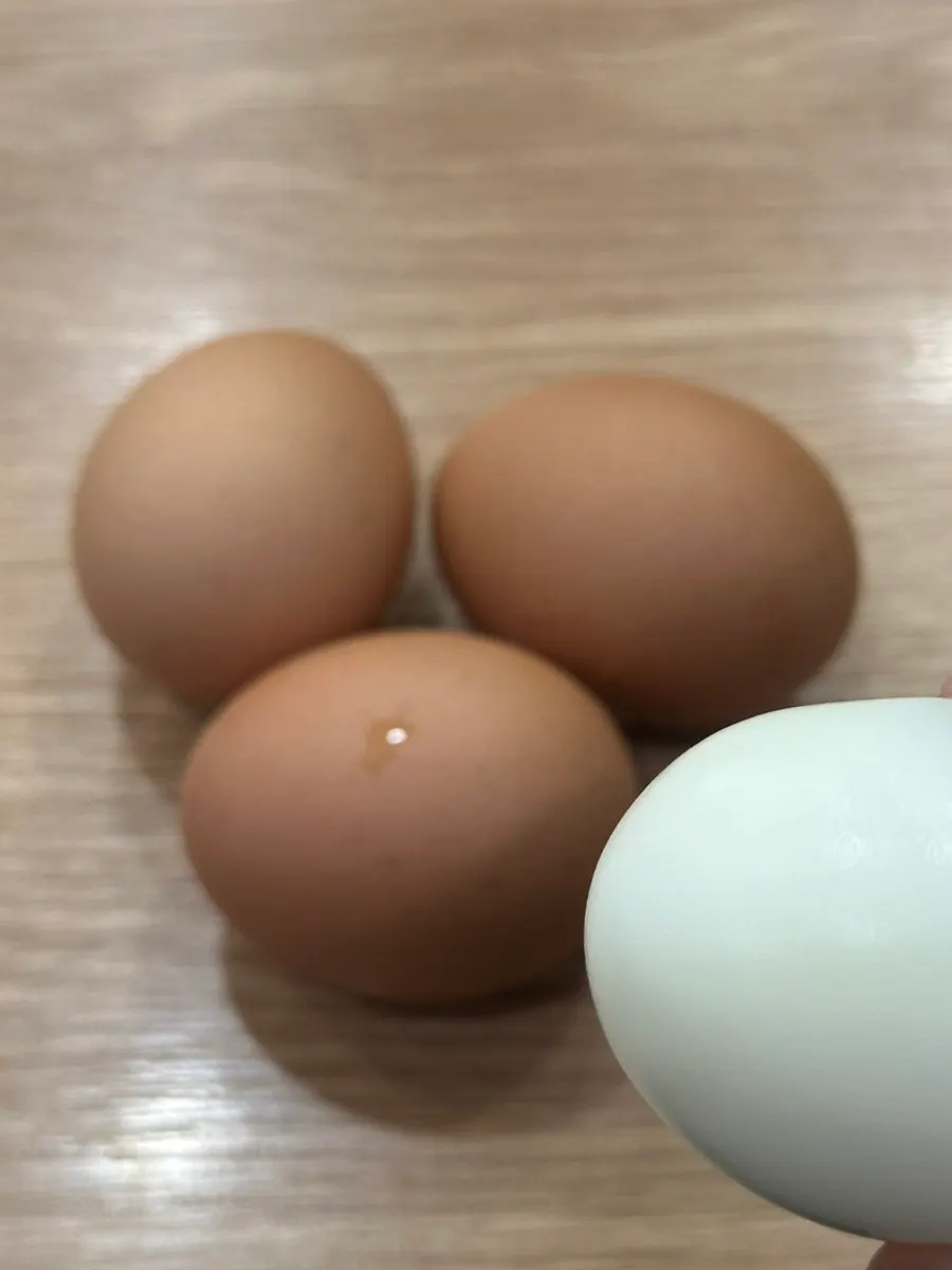 Boiled eggs served alongside the tteokbokki