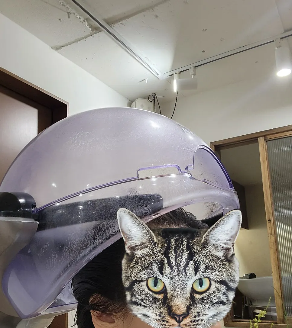 푸석한 모발에 바르는 단백질 케어