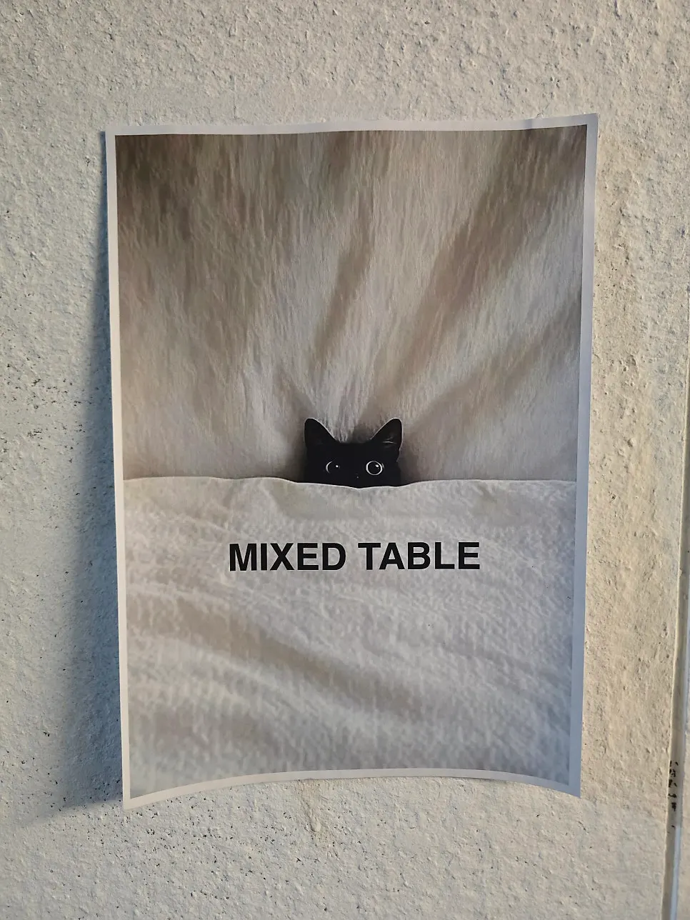 Photo of a space suited to drinking alone and gatherings