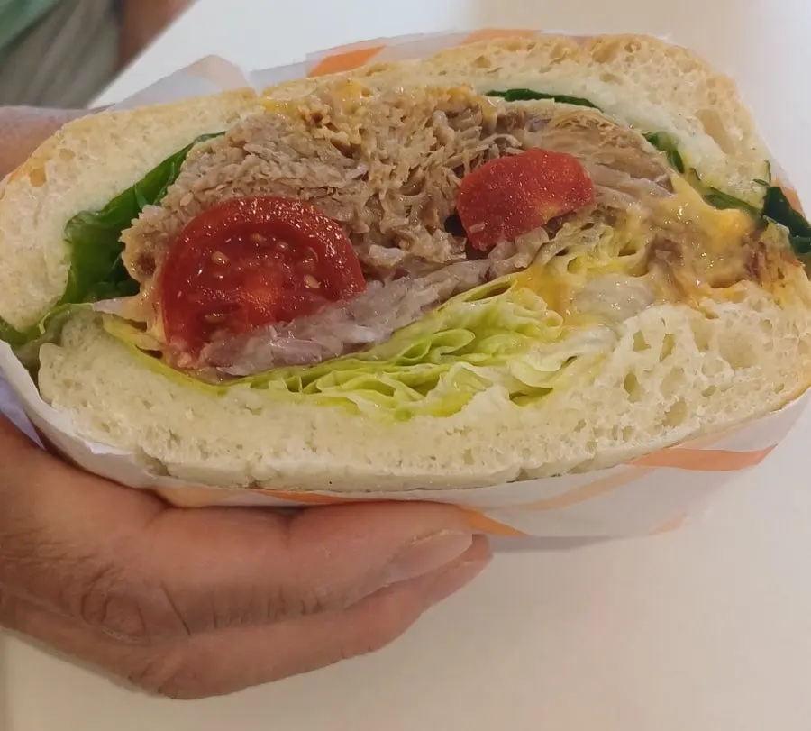 Sandwich filled with fold pork and vegetables