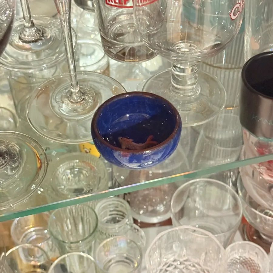 Deep blue Taiwanese fish-shaped drinking glass