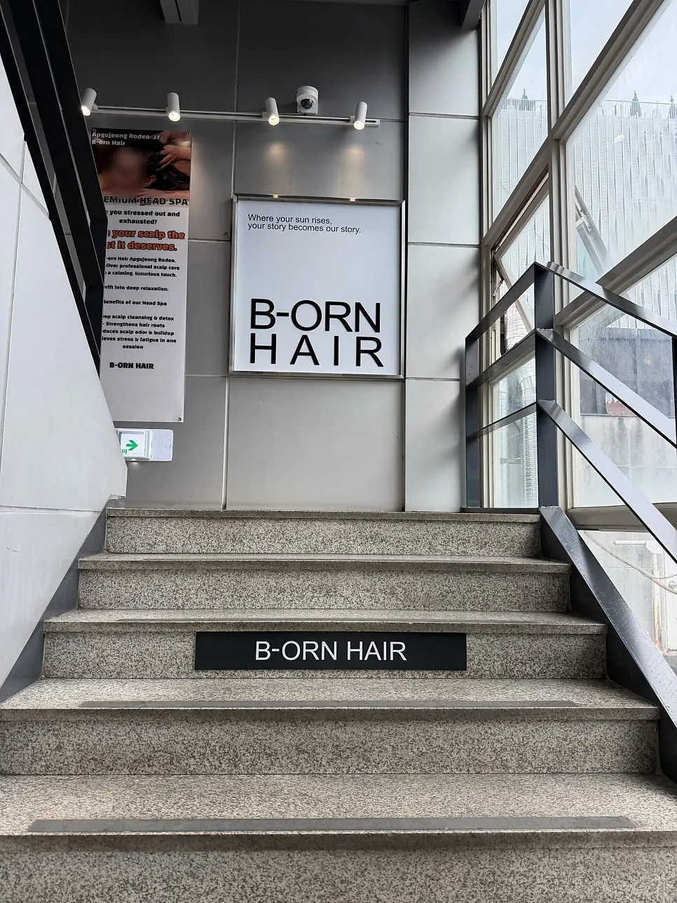 Dull, shine-less hair ends