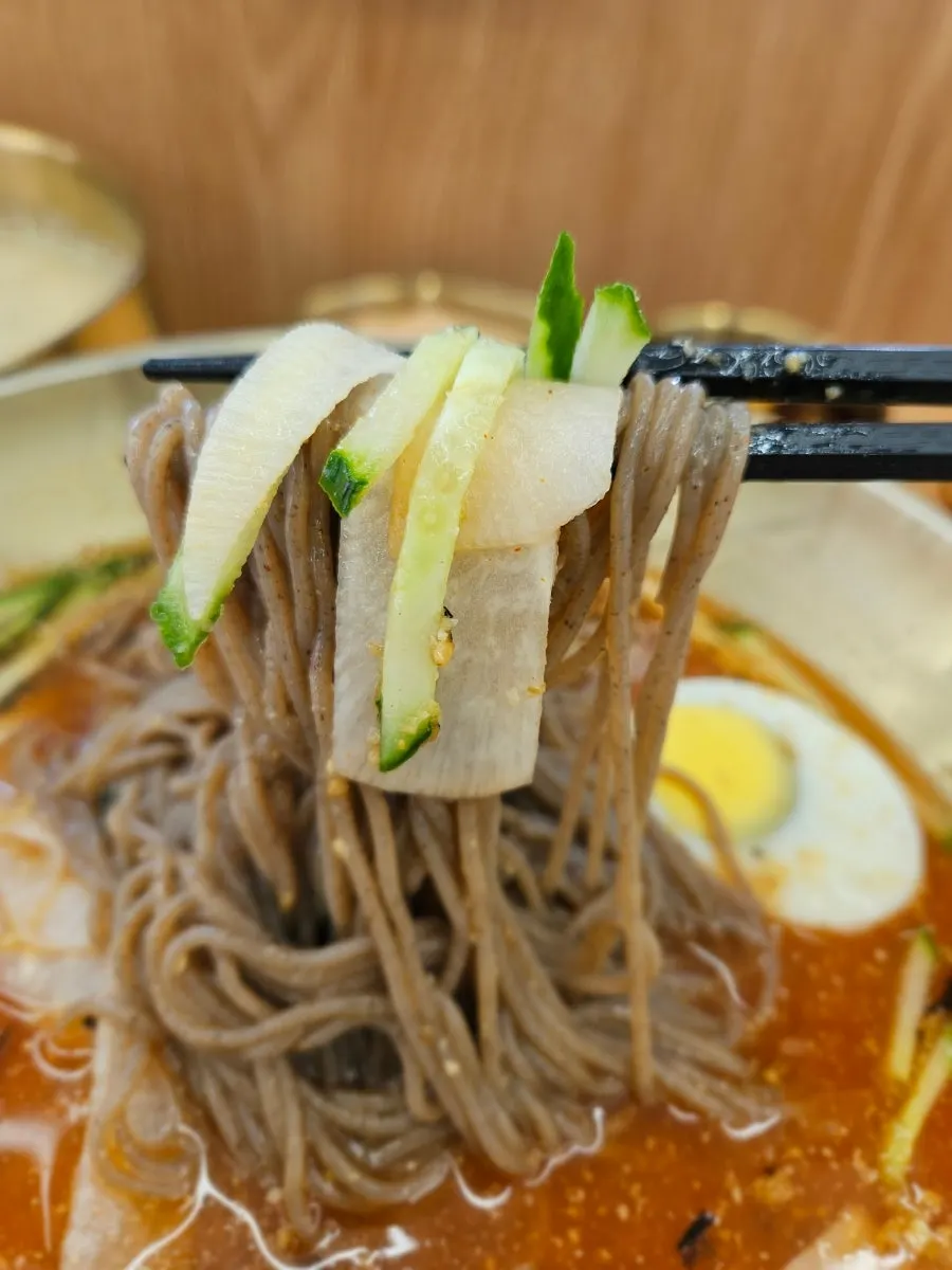 Close-up of the buckwheat noodles in the water makguksu