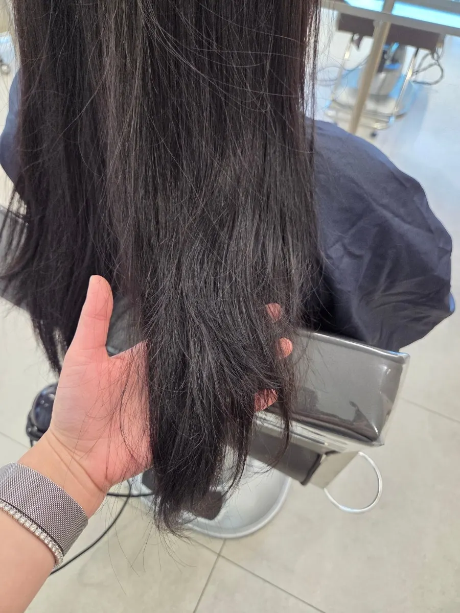끝부분이 잘 빗기지 않던 손상모