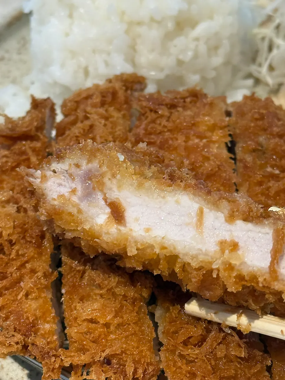 テボのロースカツとうどんを一緒に食べる様子