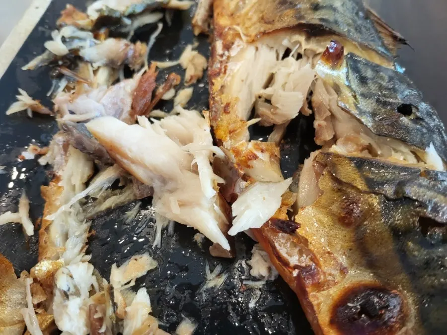 Full grilled mackerel set meal spread