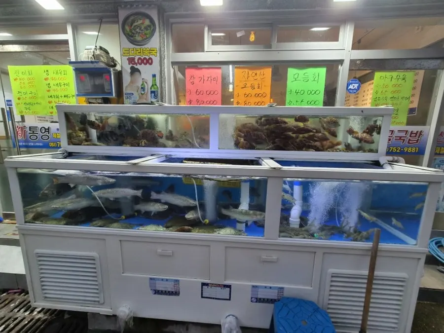 Fish tanks and handwritten menu boards at the entrance