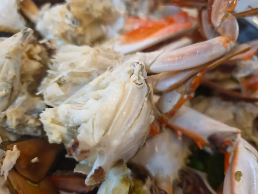 Several plump steamed crabs
