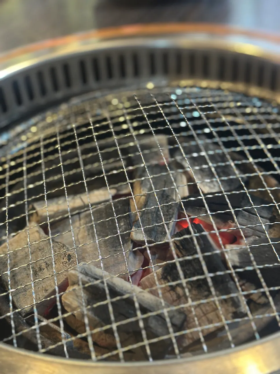 Plate of raw 10-Year Hanwoo 500g
