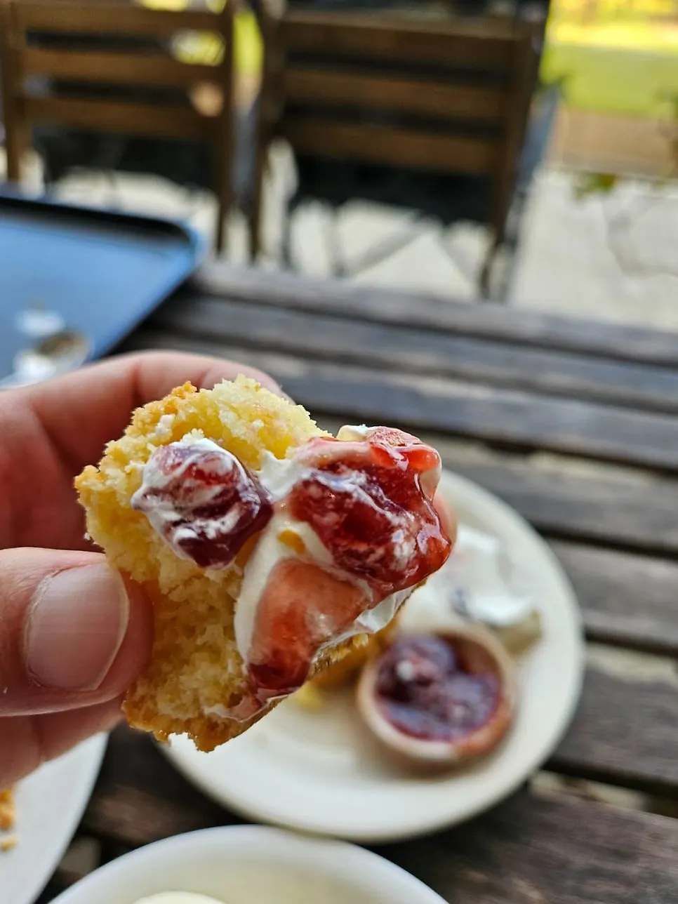 Plate with Sisup's plain scone