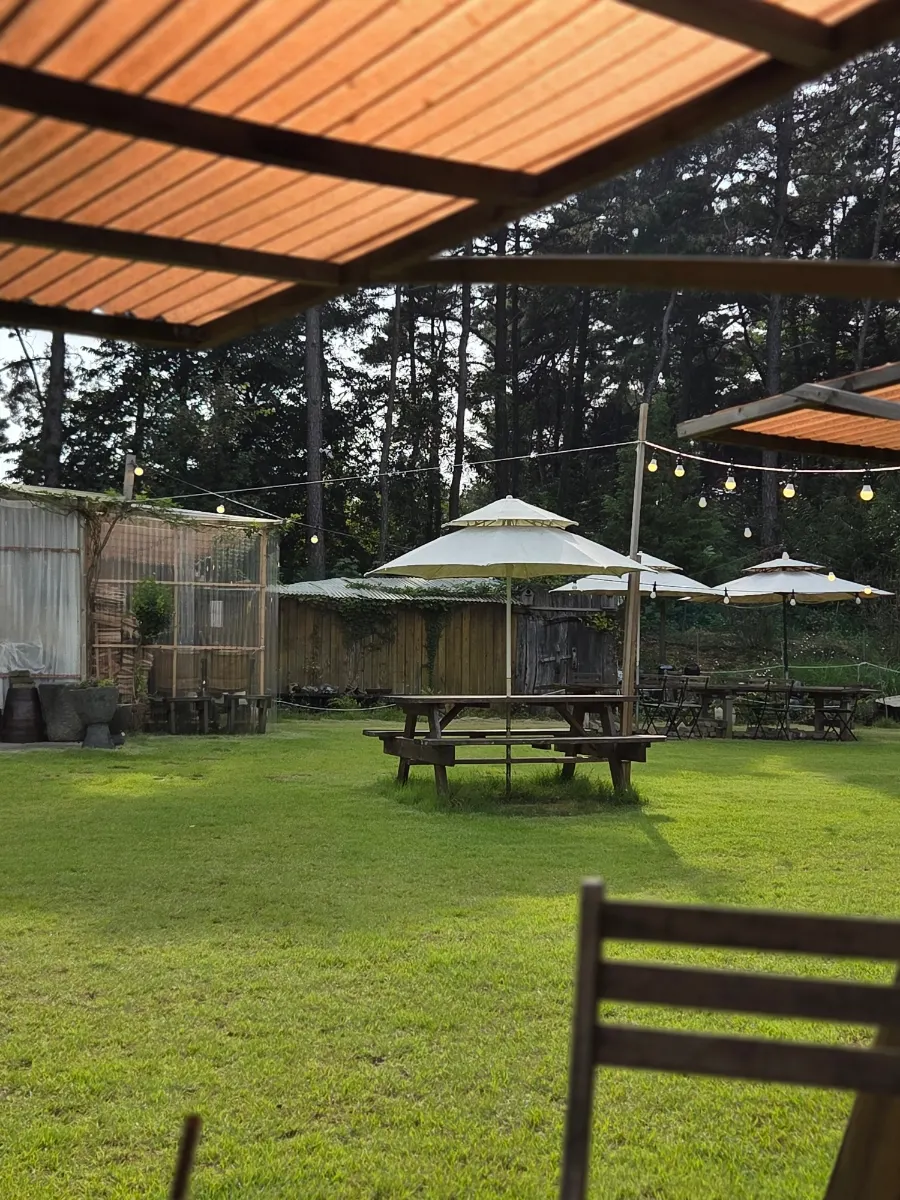 Sisup's outdoor garden with parasol seats and a cabin-like structure