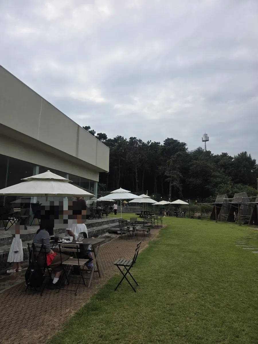 Sisup café garden with the interior visible through floor-to-ceiling windows