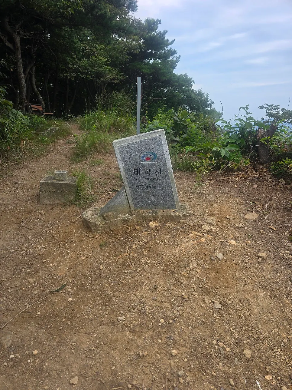 태학산 정상에서 내려다본 산과 시내 풍경