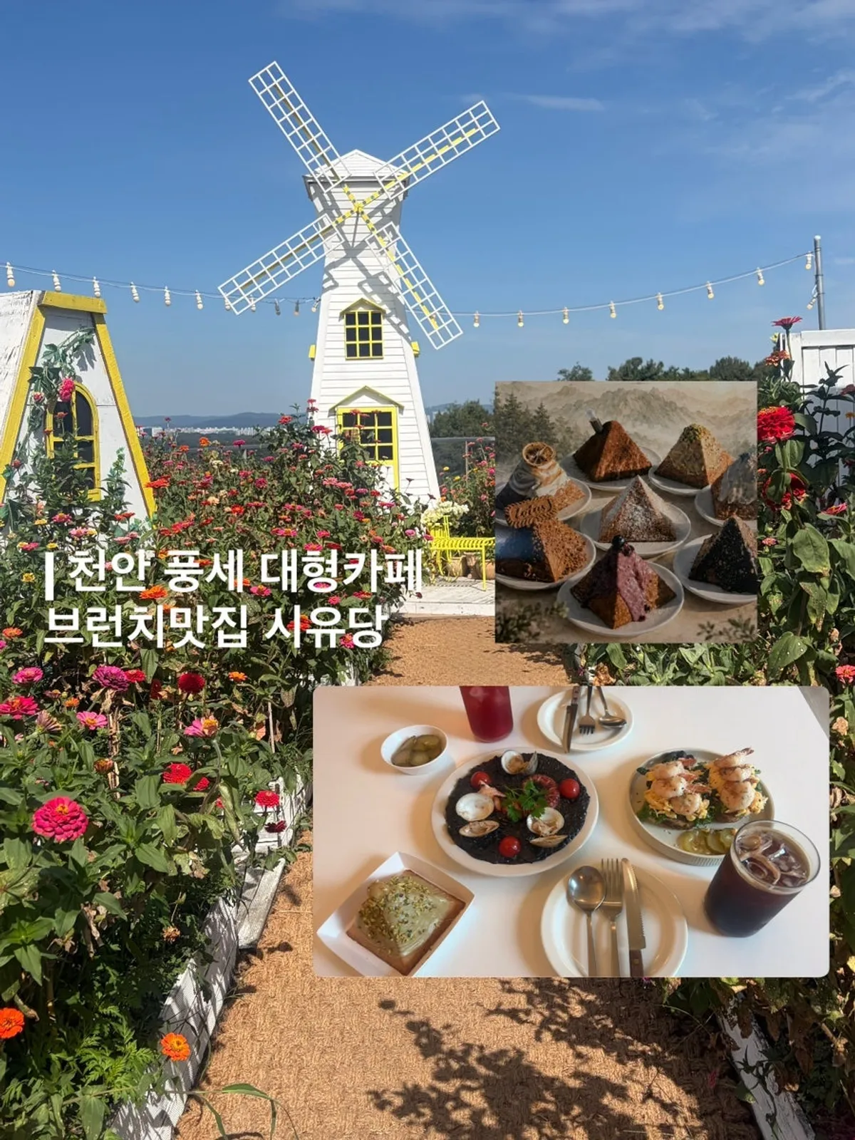 천안 풍세 대형카페 시유당 외관